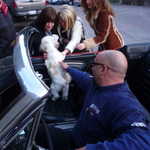 Steve and Bandit drop off the mustang.