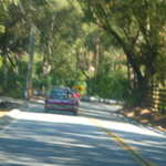 Cruise to Santa Cruz 2009 028