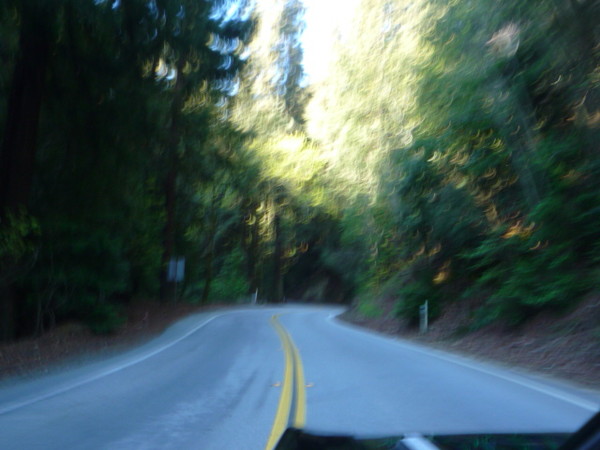 Cruise to Santa Cruz 2009 031