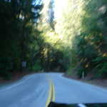 Cruise to Santa Cruz 2009 031