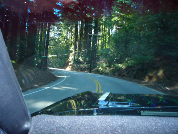 Cruise to Santa Cruz 2009 034