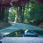 Cruise to Santa Cruz 2009 034