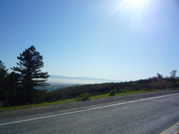 Cruise to Santa Cruz 2009 036