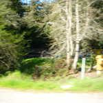 Cruise to Santa Cruz 2009 056