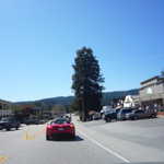 Cruise to Santa Cruz 2009 084