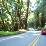 Cruise to Santa Cruz 2009 089