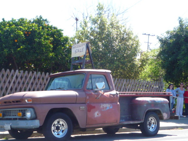 A succulant truck, i guess?