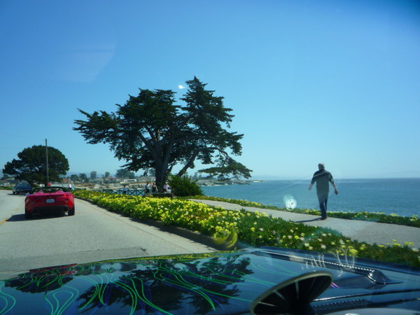 Cruise to Santa Cruz 2009 096