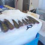 Now that's some ugly catfish!