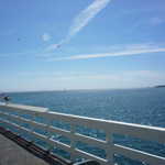 Cruise to Santa Cruz 2009 133