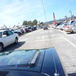 Cruise to Santa Cruz 2009 134