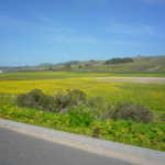 Cruise to Santa Cruz 2009 158