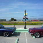 Cruise to Santa Cruz 2009 161