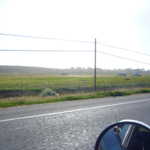 Cruise to Santa Cruz 2009 199