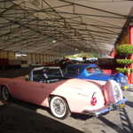 San Jose Flea Market show 2009 035