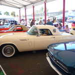 San Jose Flea Market show 2009 090