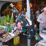 Cool tiny plants and toy machine guns!