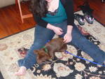 Highlight for Album: Deanna and Jake the puppy.