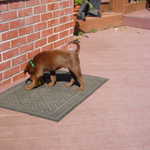 Deanna and Jake 009