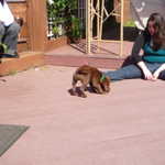 Deanna and Jake 010