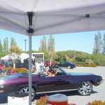Derrick Ward Memorial car show 2009 292
