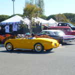 Derrick Ward Memorial car show 2009 145