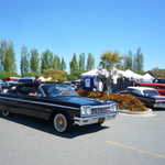 Derrick Ward Memorial car show 2009 234
