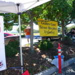 Derrick Ward Memorial car show 2009 270