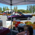 Derrick Ward Memorial car show 2009 293
