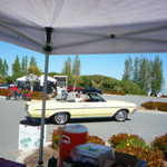 Derrick Ward Memorial car show 2009 294
