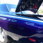 Derrick Ward Memorial car show 2009 323
