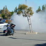 Earth Day was celebrated early, you can see.