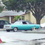 ELCHS car show 2009 066