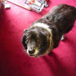 Whoooooose a good girl!!!