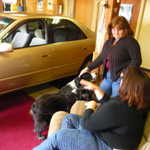 ELCHS car show 2009 116