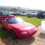 Sally makes her way to the show too.
