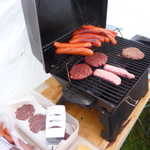 I break out the ELK burgers for lunch.