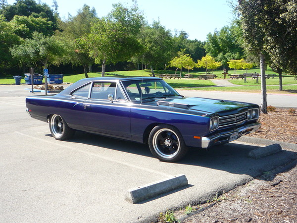 Denise Smith's Birthday 2009 013