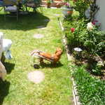 Mother's Day 2009 007