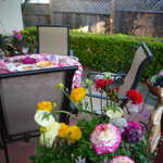 Mother's Day 2009 033