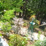 Foresthill 2009 vacation 031
