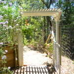 Foresthill 2009 vacation 033