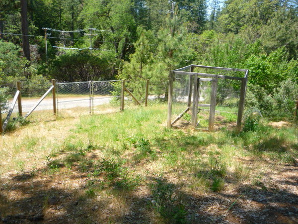 Foresthill 2009 vacation 034