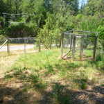 Foresthill 2009 vacation 034