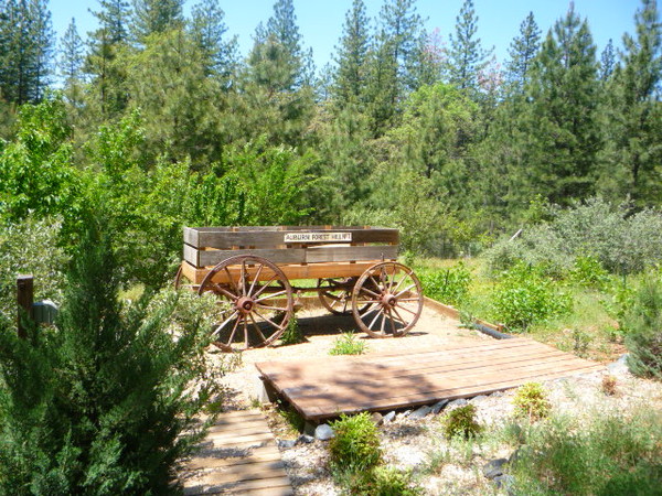 Foresthill 2009 vacation 036