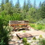 Foresthill 2009 vacation 036