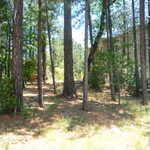 Foresthill 2009 vacation 037