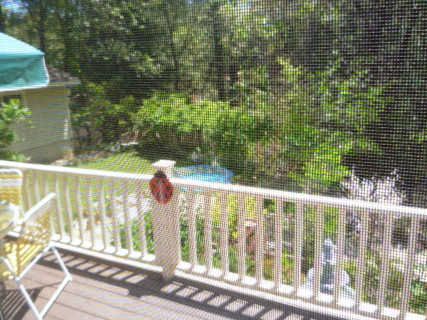 Foresthill 2009 vacation 063