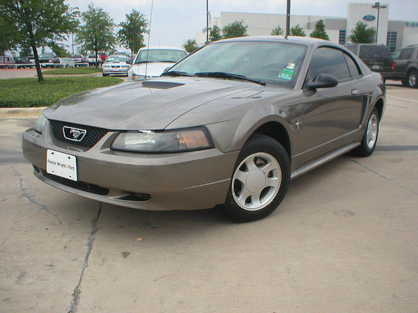 01 Stang