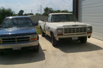 93 Dak, and the donor of the infamous fresh trans